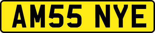 AM55NYE