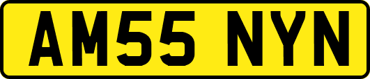 AM55NYN