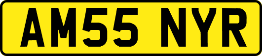 AM55NYR