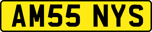 AM55NYS