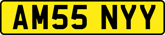 AM55NYY