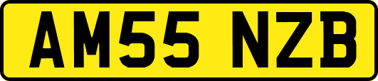 AM55NZB