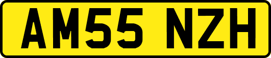 AM55NZH