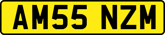 AM55NZM