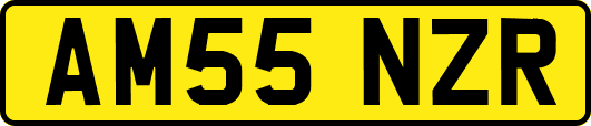 AM55NZR