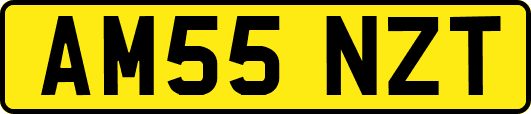 AM55NZT