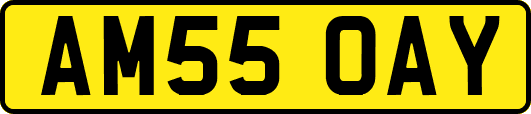 AM55OAY