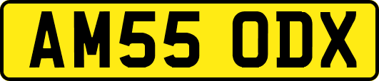 AM55ODX