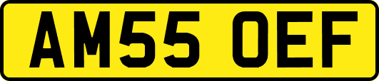 AM55OEF