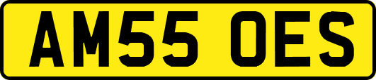 AM55OES