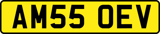 AM55OEV