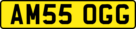 AM55OGG