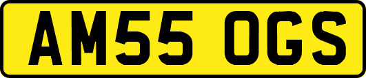 AM55OGS