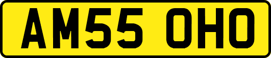 AM55OHO