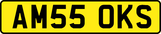 AM55OKS