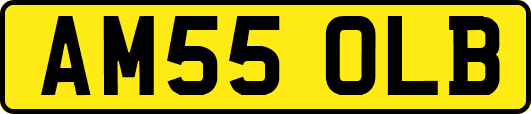 AM55OLB
