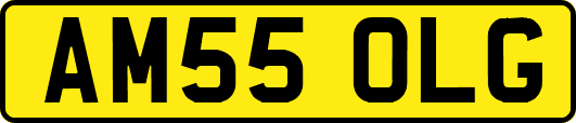 AM55OLG