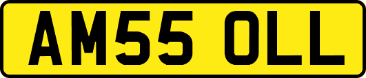 AM55OLL