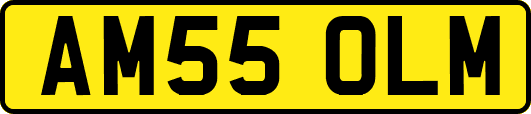 AM55OLM