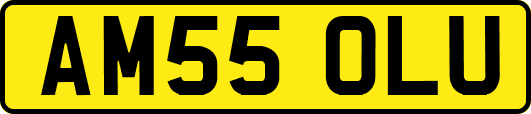 AM55OLU
