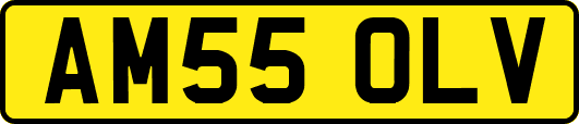 AM55OLV