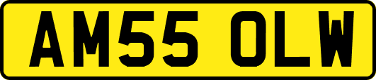 AM55OLW