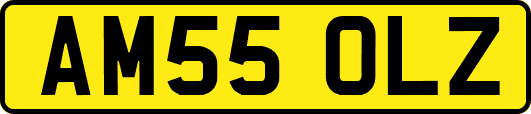 AM55OLZ