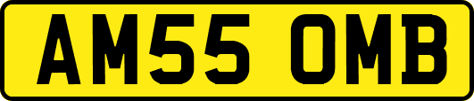 AM55OMB