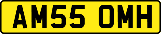 AM55OMH