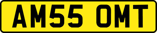 AM55OMT