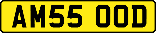 AM55OOD