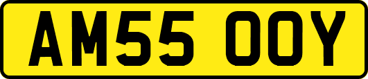 AM55OOY