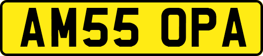 AM55OPA