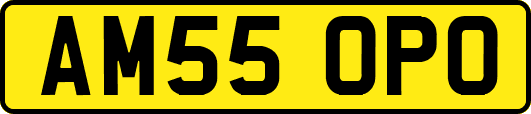 AM55OPO