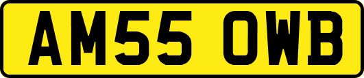 AM55OWB