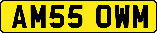 AM55OWM