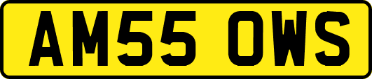 AM55OWS