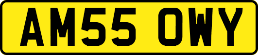 AM55OWY