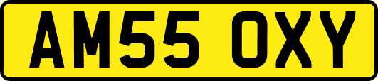 AM55OXY