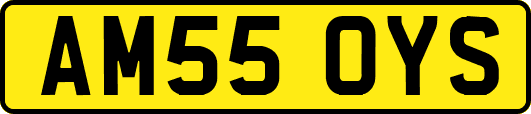 AM55OYS