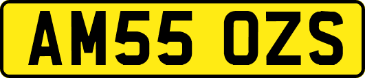 AM55OZS