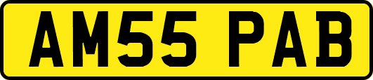 AM55PAB