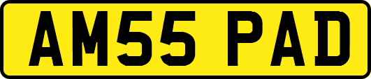 AM55PAD