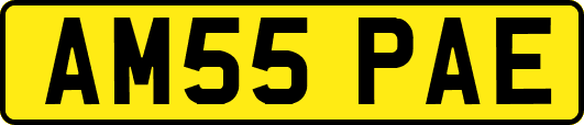 AM55PAE