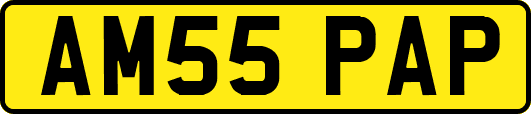 AM55PAP