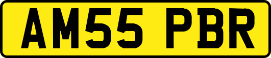 AM55PBR