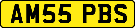 AM55PBS