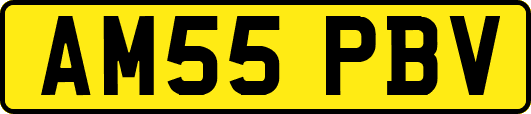 AM55PBV