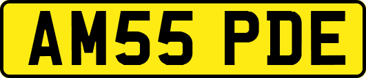 AM55PDE