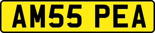 AM55PEA